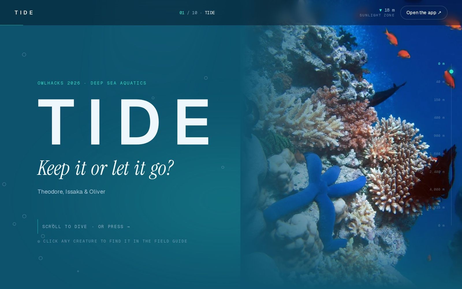 Tide's story site: the TIDE title and the question “Keep it or let it go?” beside a coral reef